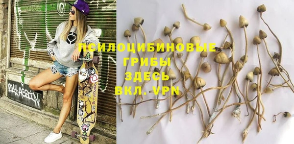PSILOCYBIN Волгодонск
