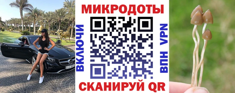 Псилоцибиновые грибы прущие грибы  блэк спрут ТОР  Бавлы  купить наркоту 